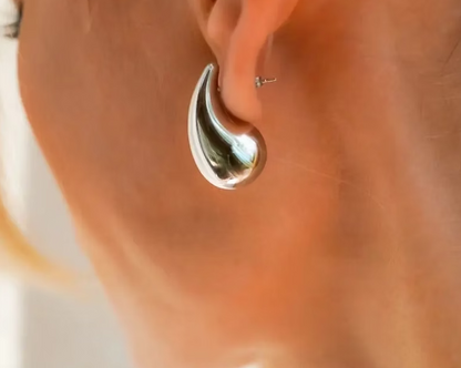 Elegant Teardrop Earrings