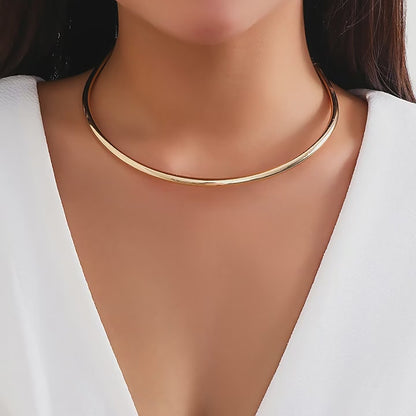 Iron Metal Torques Choker